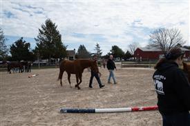 LR-WRF 0402026 Retreat-3149